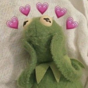 Meet your Posher, Liberty